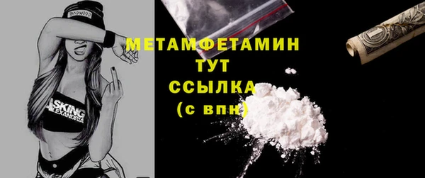 гидра Алексин